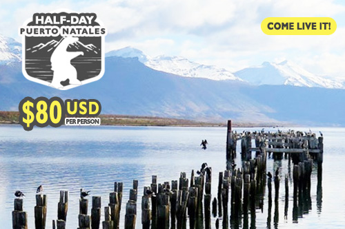 half day Puerto Natales